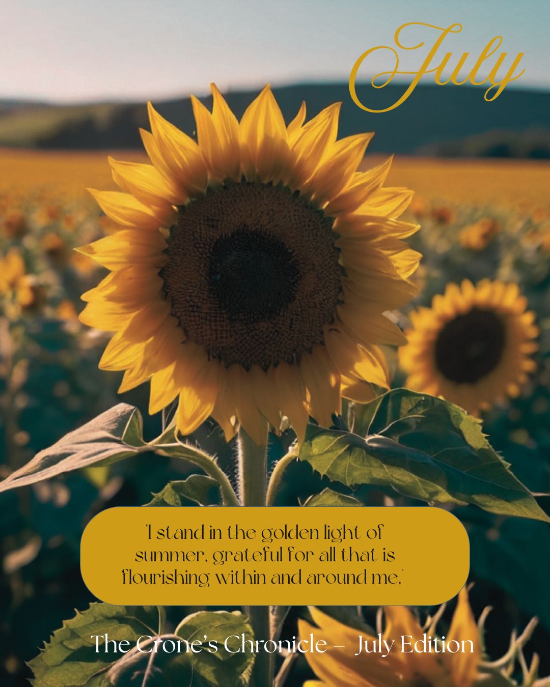 July Chronicle