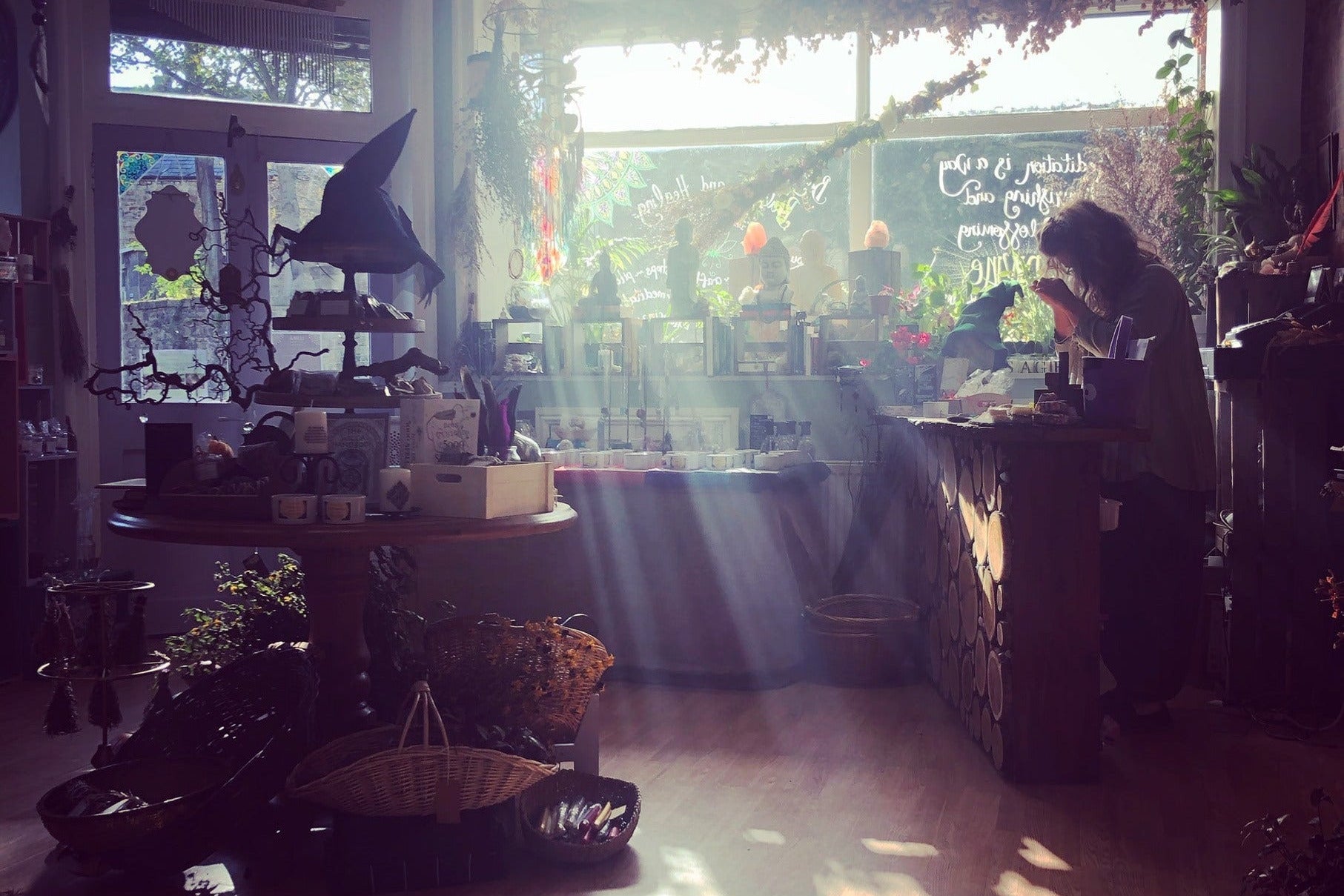 Sunlit room with wooden floor, plants, and a person sitting at a table.